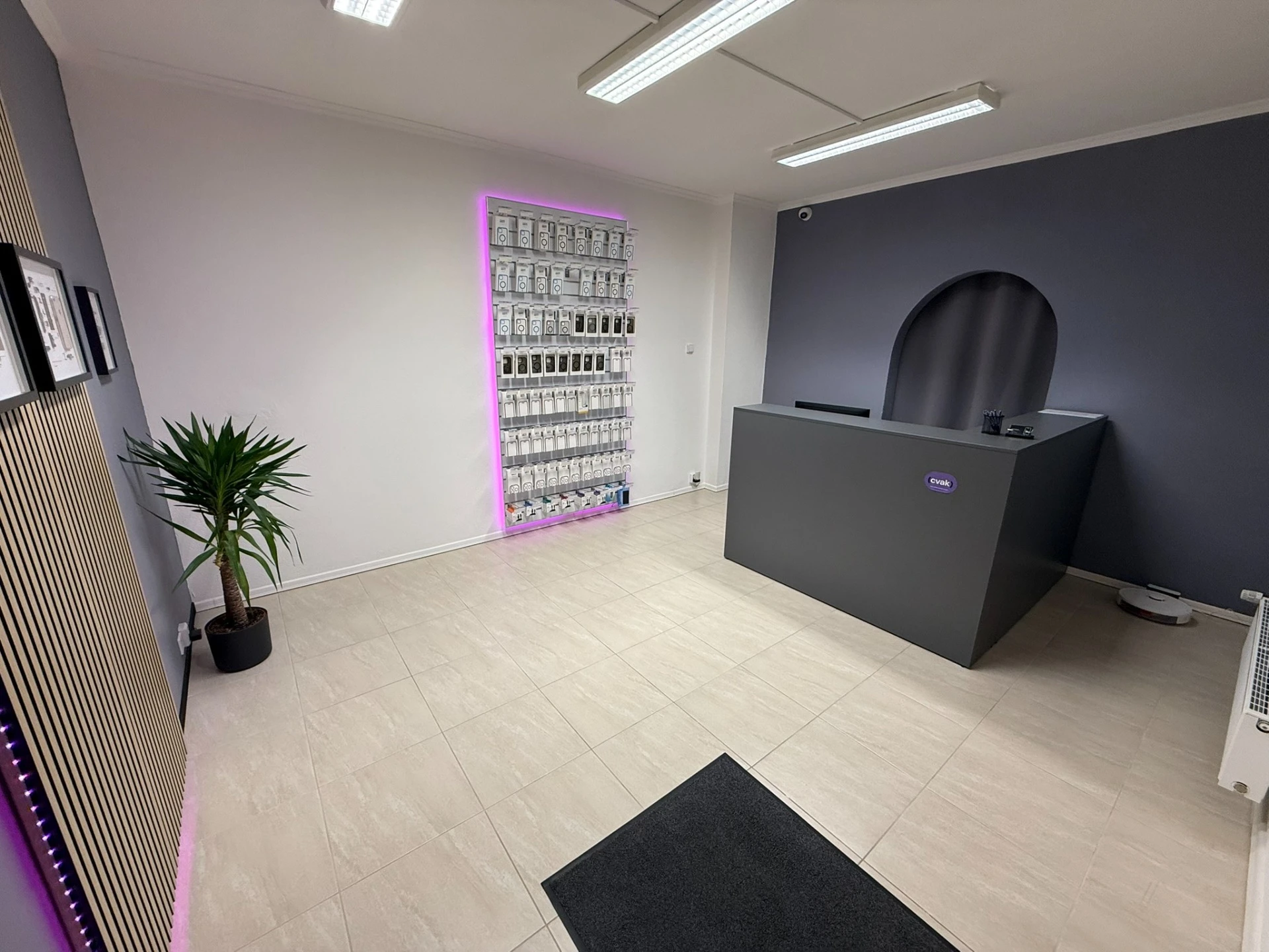 Detailní oprava iPhone